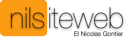 Logo du site nilsiteweb