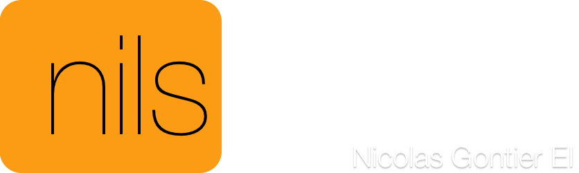 Logo du site nilsiteweb